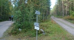 дорога